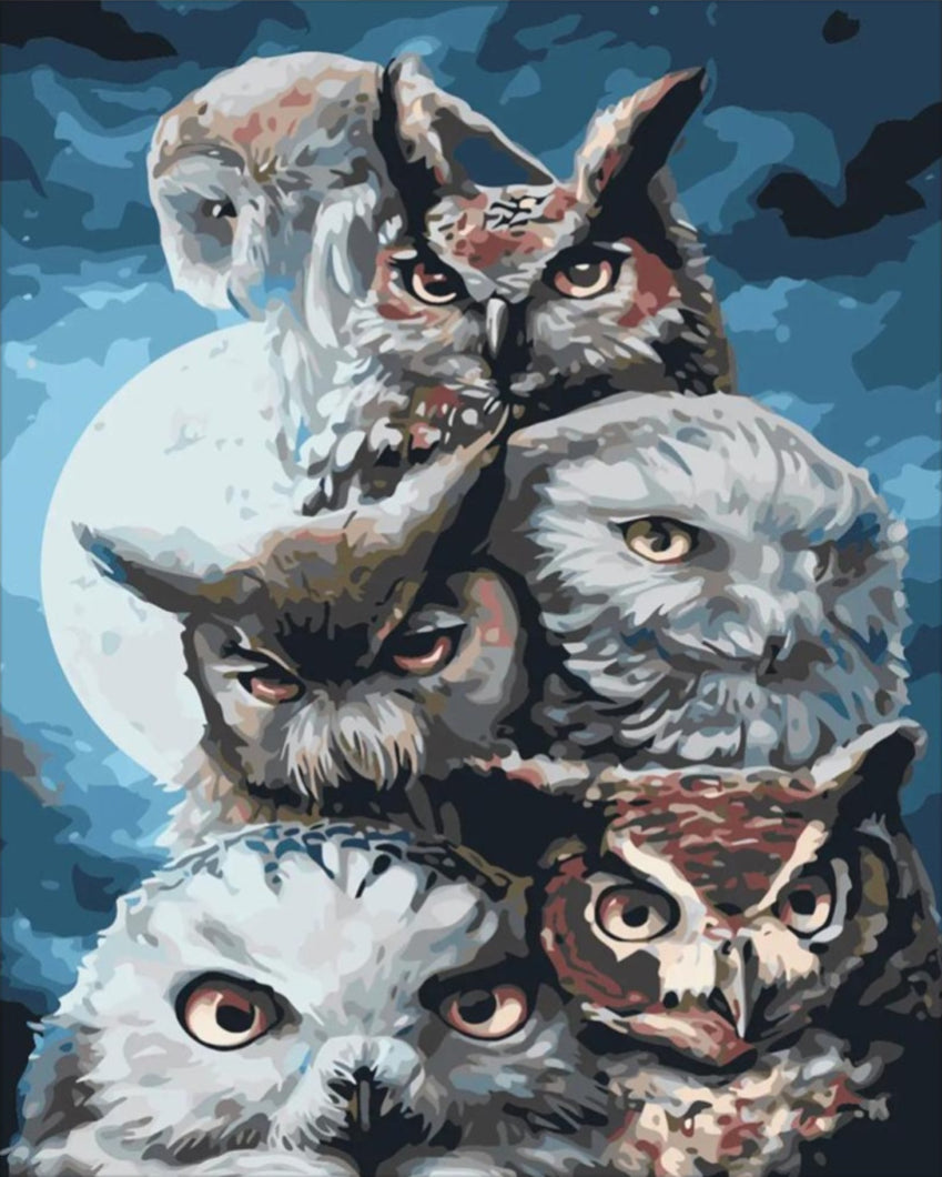 Bagoly banda - számfestő készlet