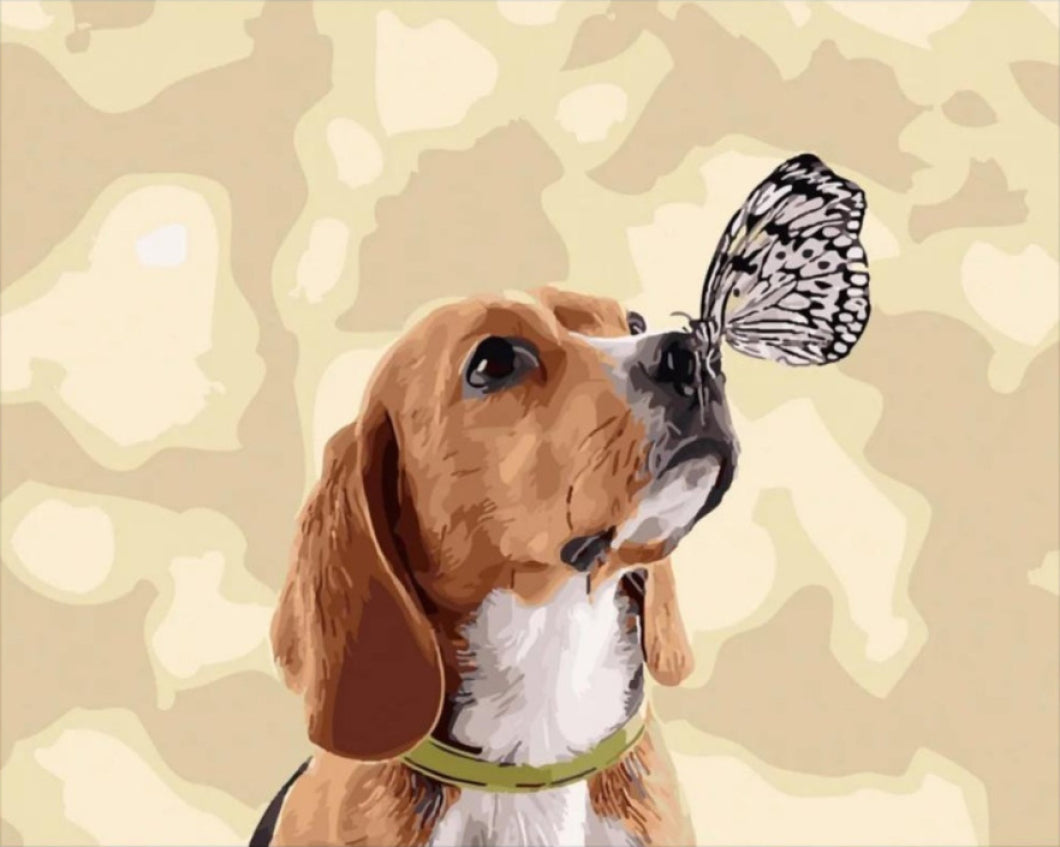 Barátkozás - számfestő készlet