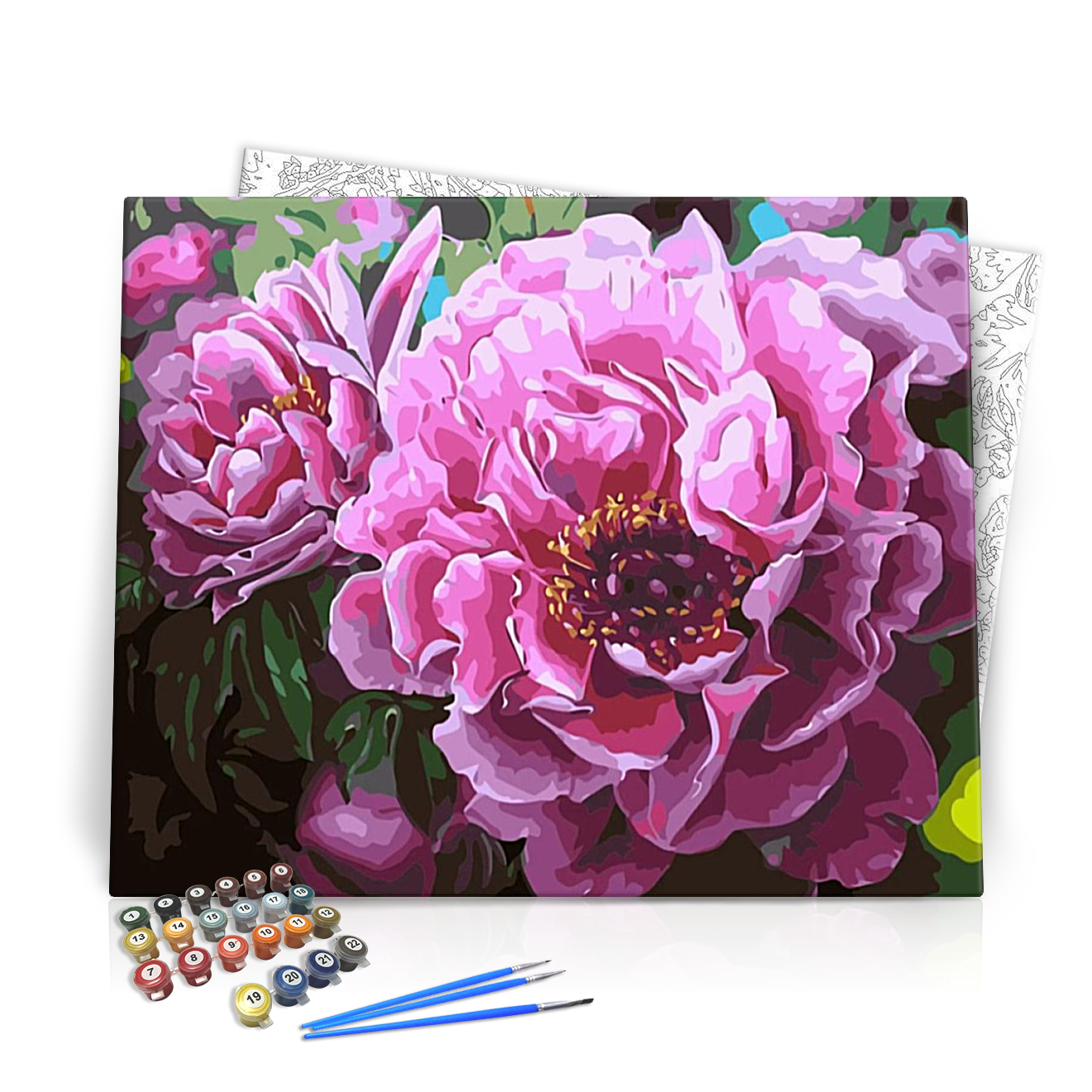 Bazsarózsák - számfestő készlet