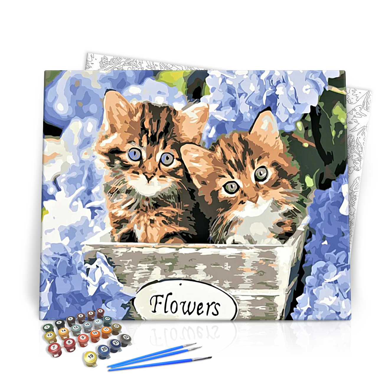 Bolondos cicák - számfestő készlet