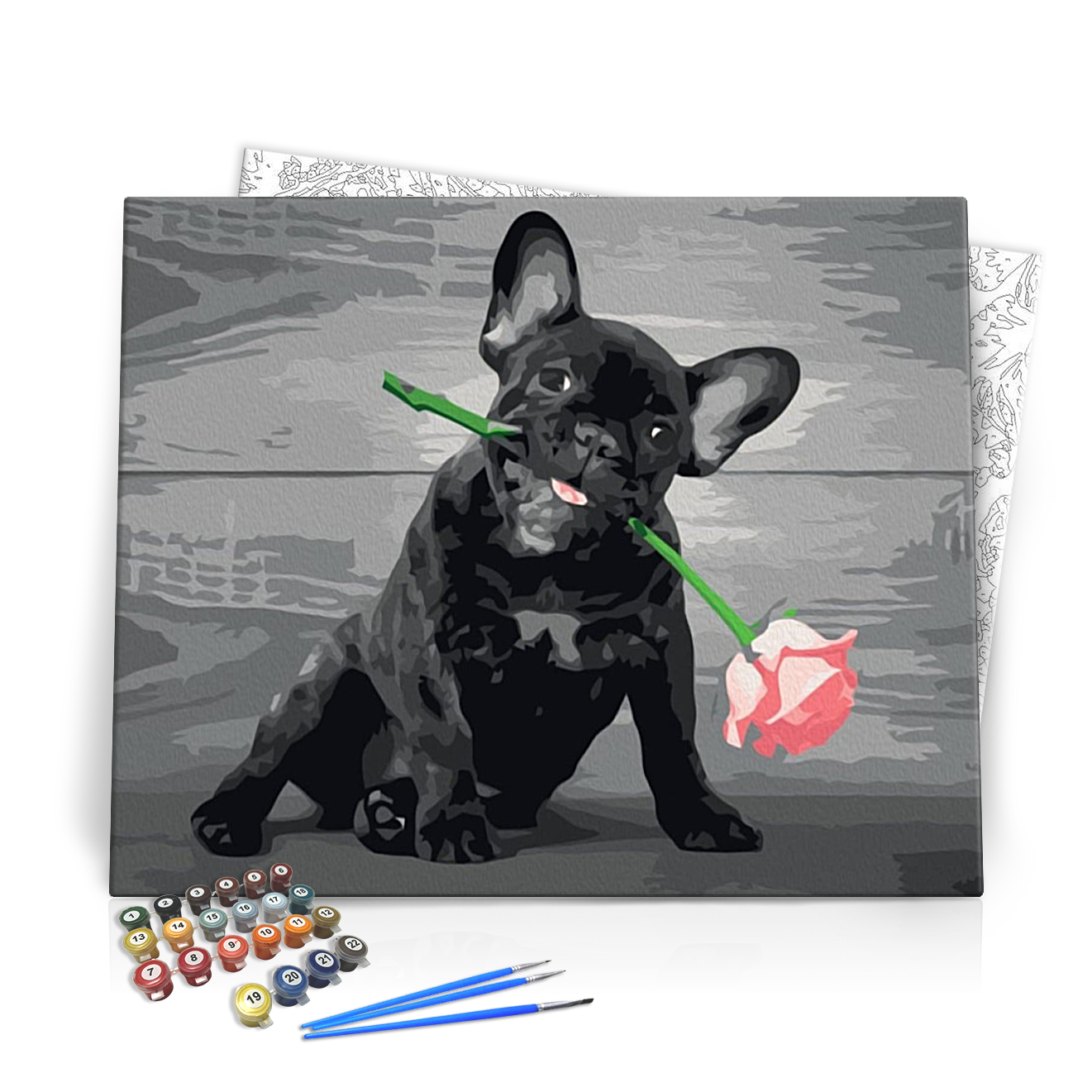 Bulldog Rózsaszállal - számfestő készlet