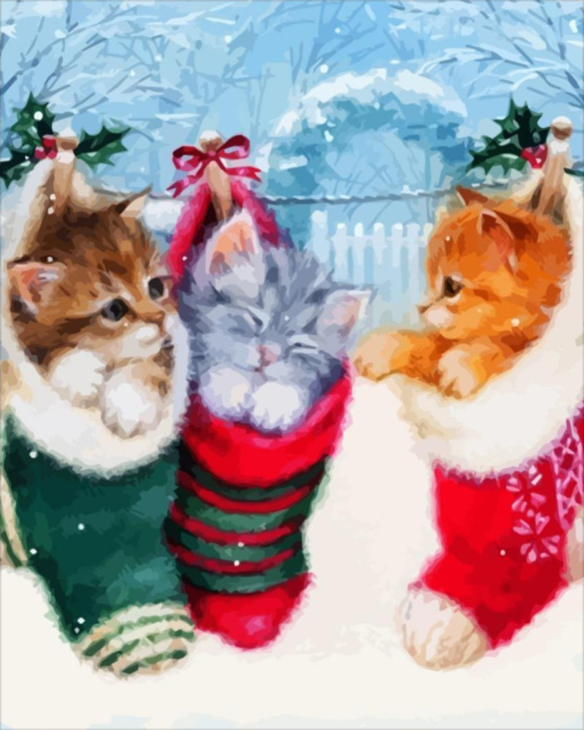 Cica ajándékok - számfestő készlet