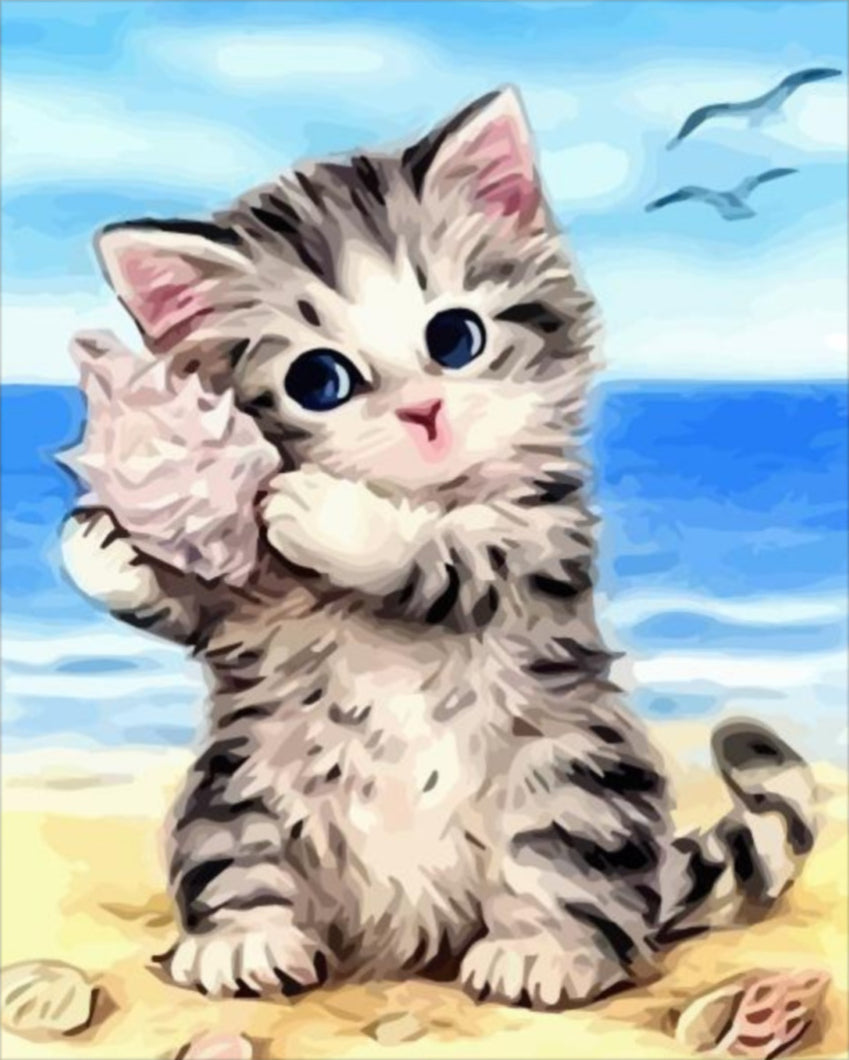 Cica és kagyló - számfestő készlet