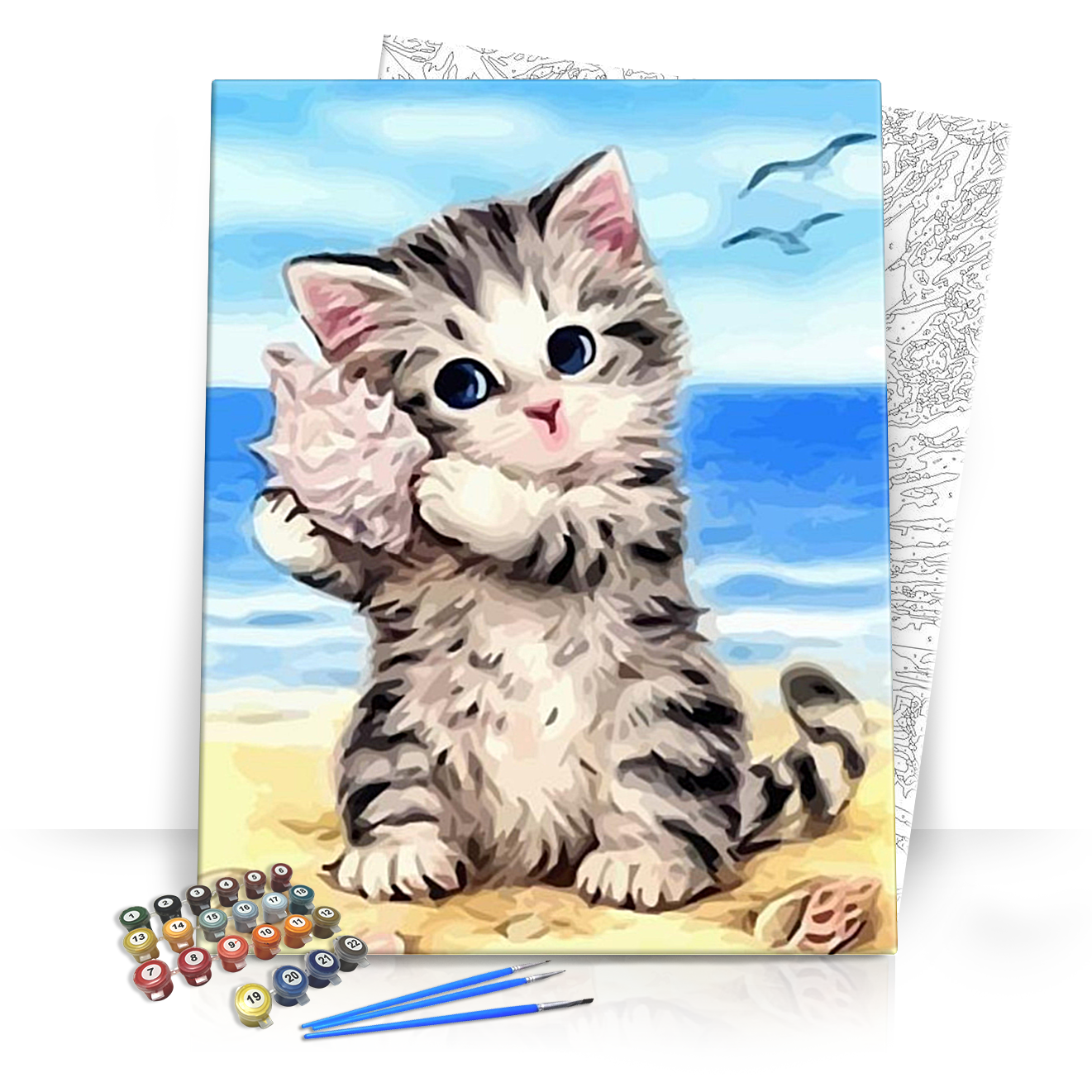 Cica és kagyló - számfestő készlet