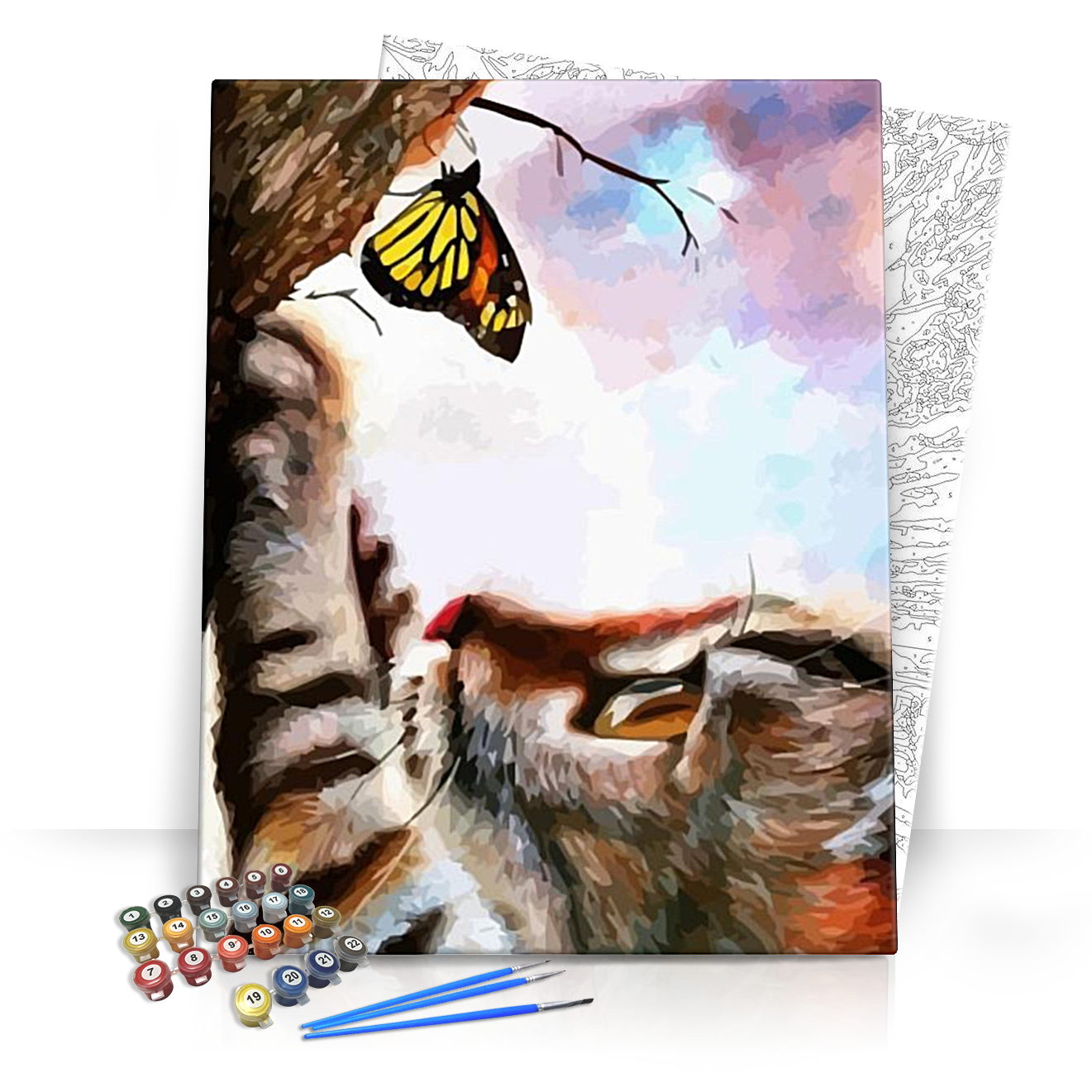 Cica és pillangó - számfestő készlet