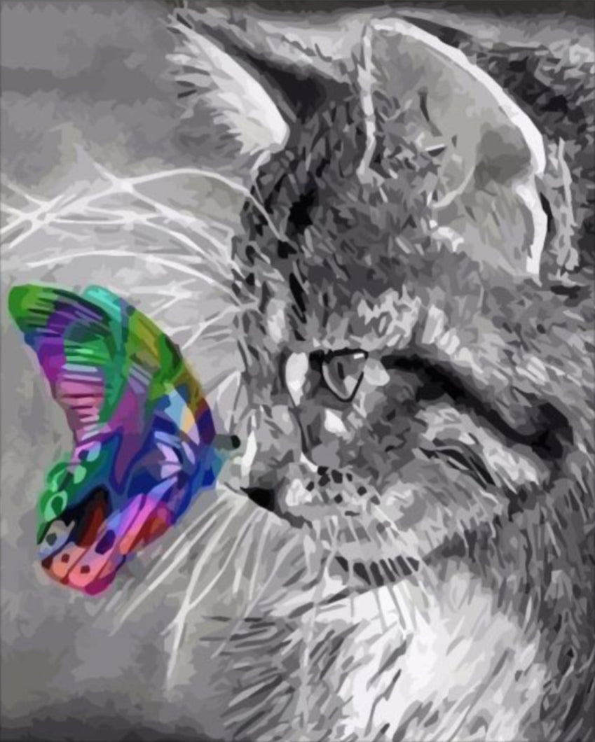 Cica és pillangó - számfestő készlet