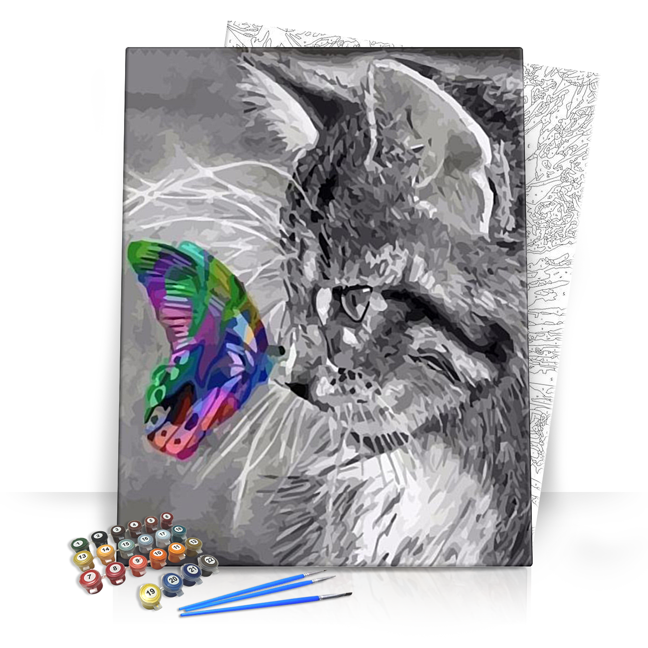 Cica és pillangó - számfestő készlet