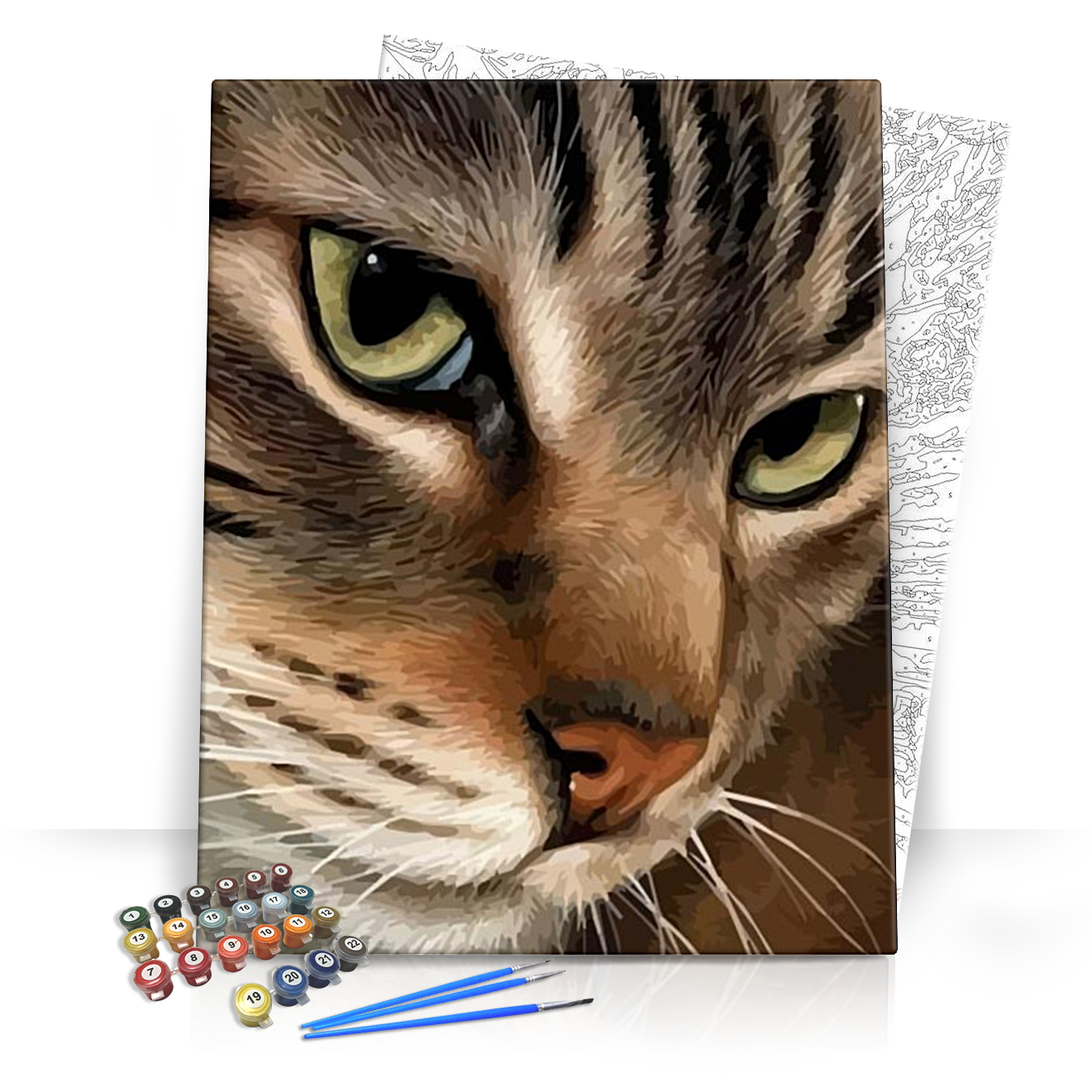 Cica figyelem - számfestő készlet