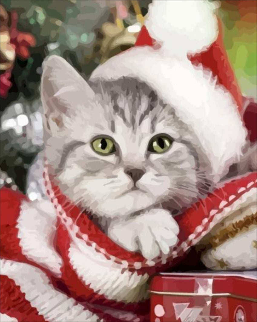 Cica mikulás sapkában - számfestő készlet