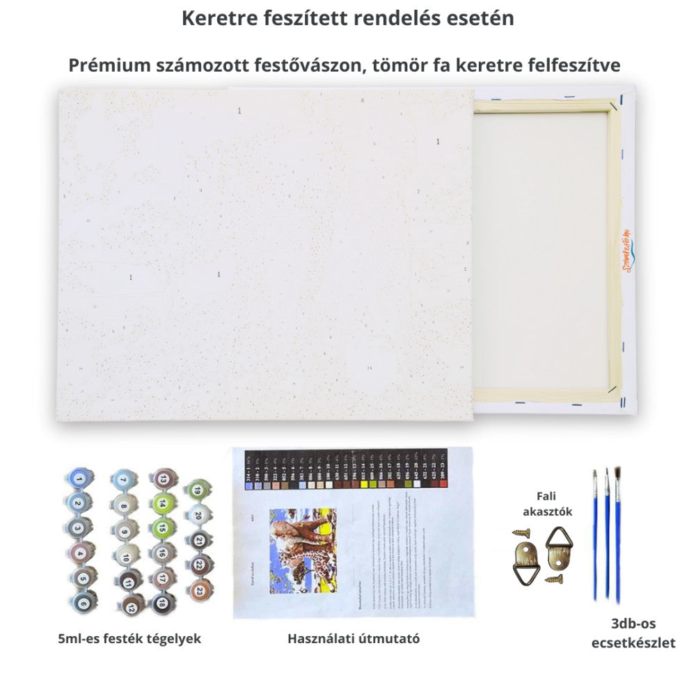 Vörös árnyalatok - számfestő készlet