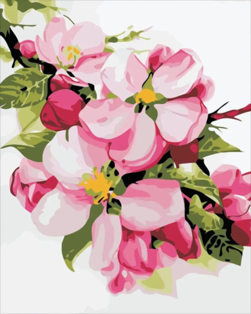 Cseresznyevirág - számfestő készlet