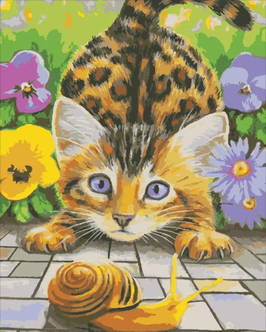 Csiga játék a cicával - számfestő készlet