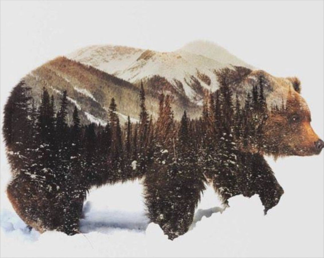 Csodálatos Medve - számfestő készlet