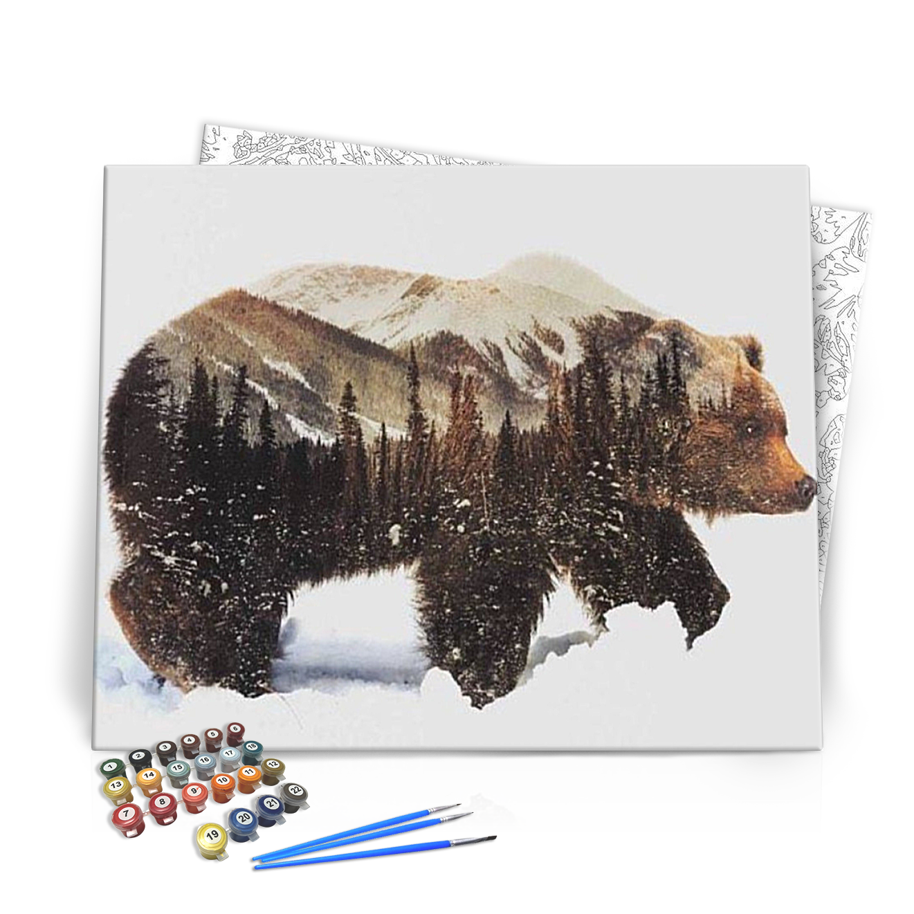 Csodálatos Medve - számfestő készlet