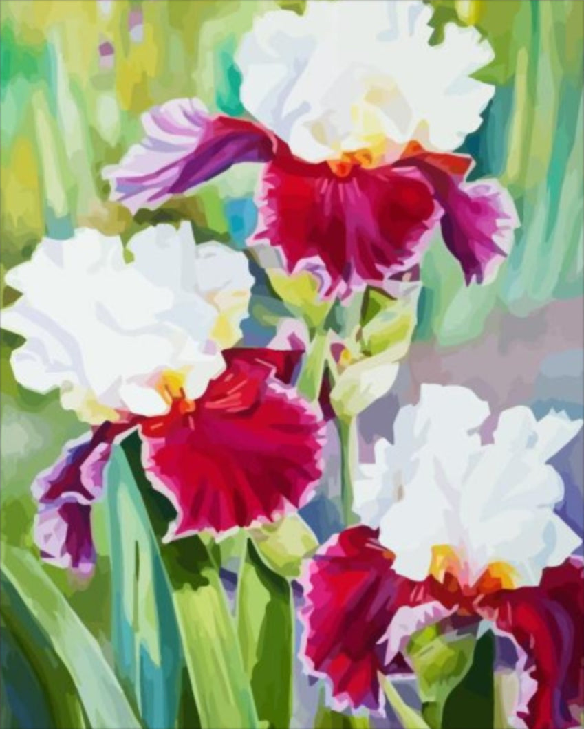 Csodás virágok - számfestő készlet