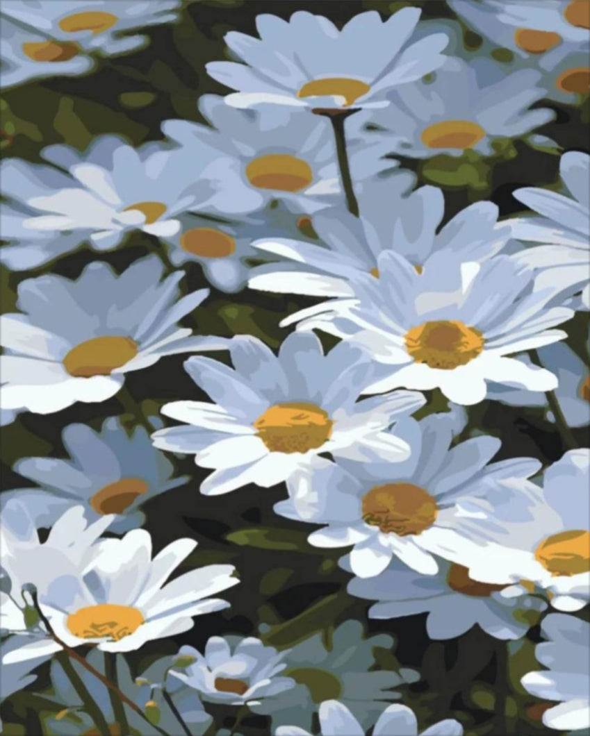 Fehér Margaréták- számfestő készlet