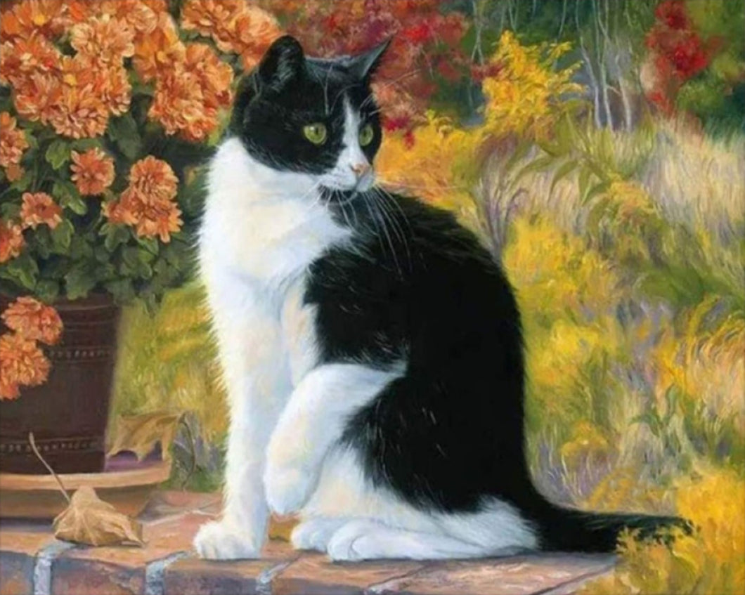 Fekete Fehér Macska - számfestő készlet