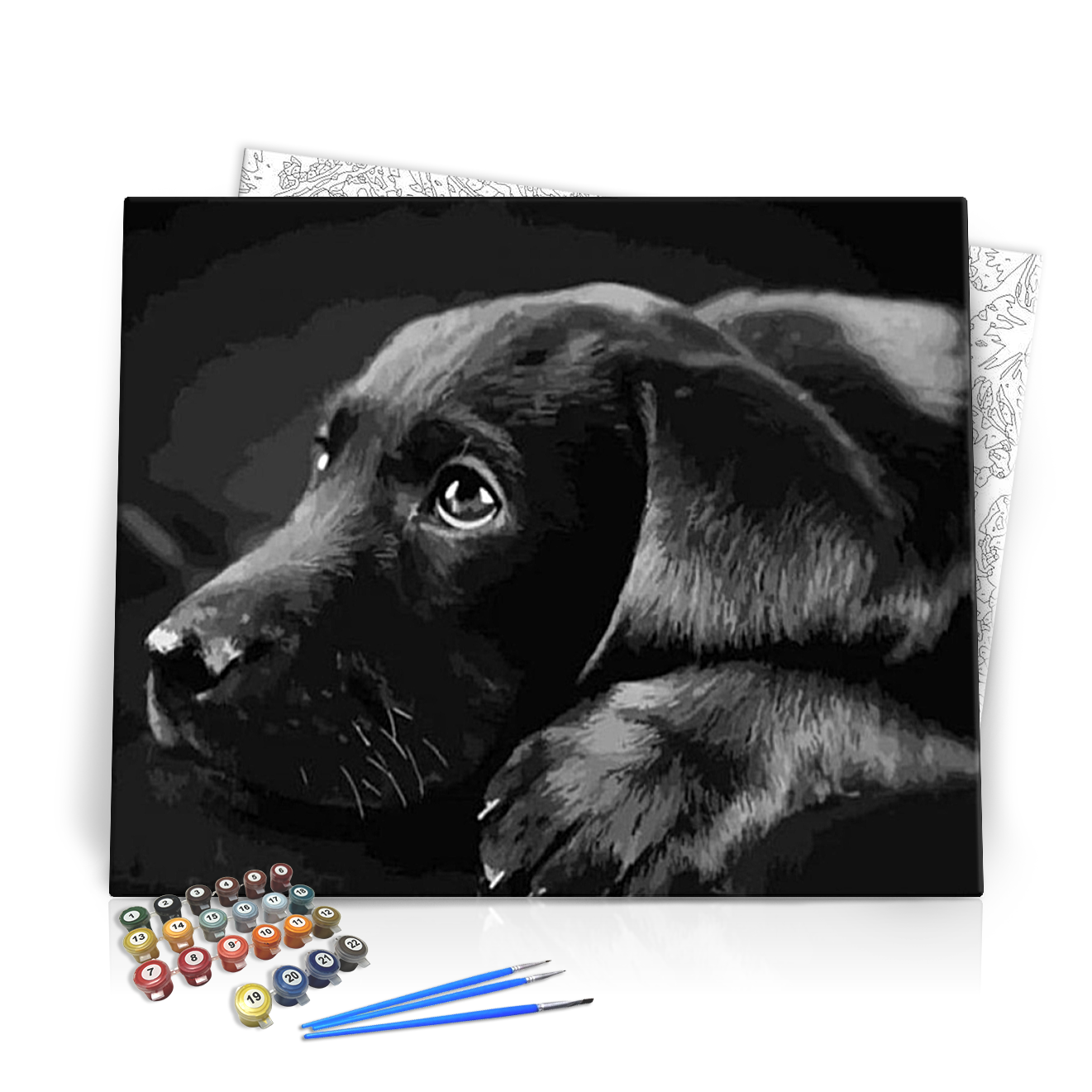 Fekete Labrador - számfestő készlet