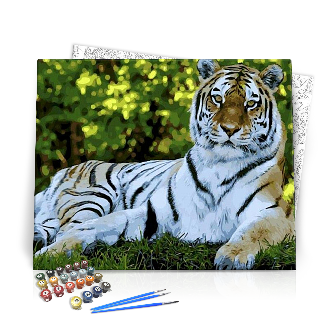 Fekvő tigris - számfestő készlet