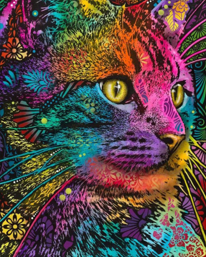 Felis - számfestő készlet