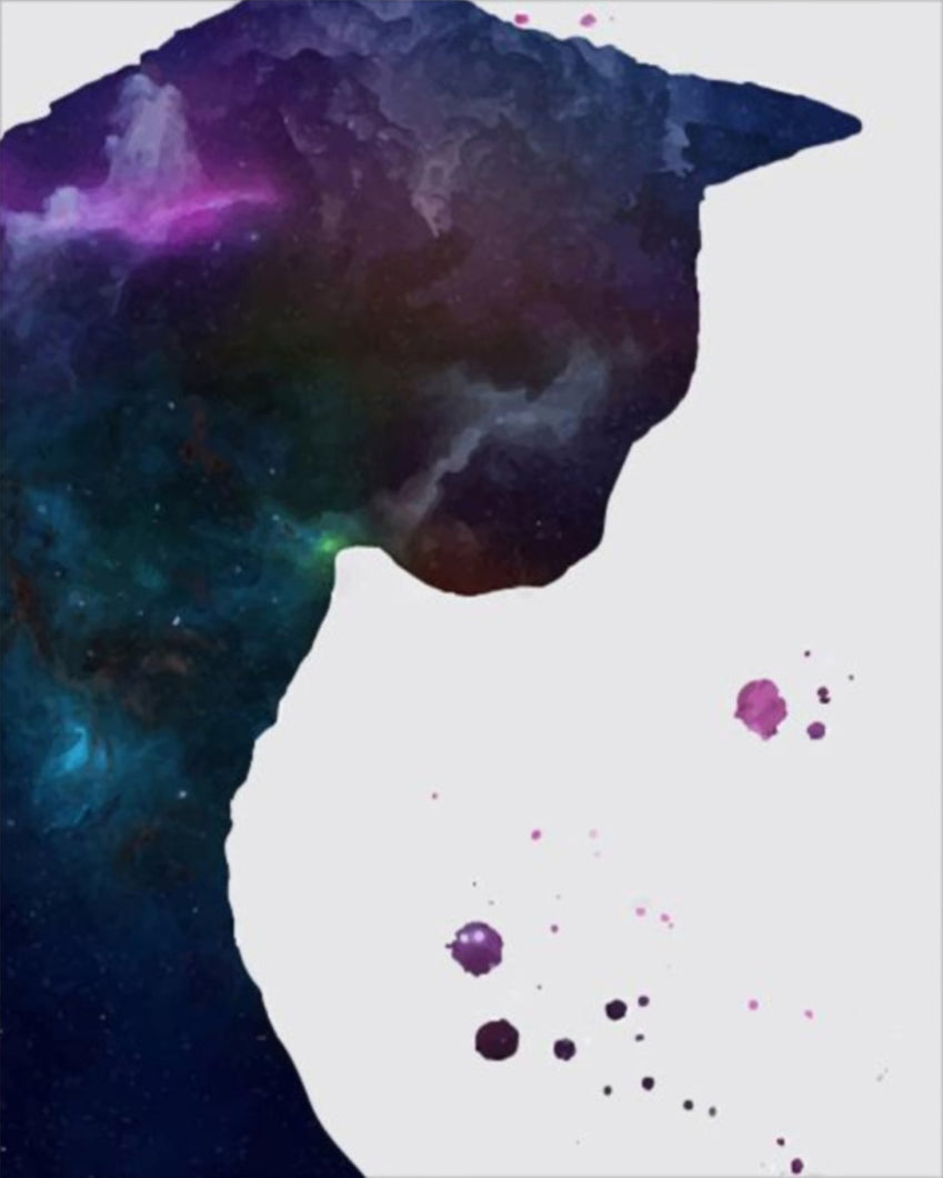 Galaxis macskája - számfestő készlet
