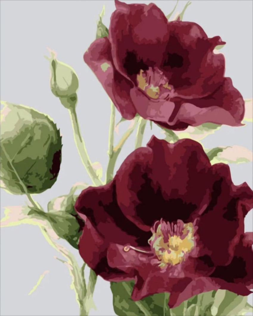 Gyönyörű bordó virágok - számfestő készlet