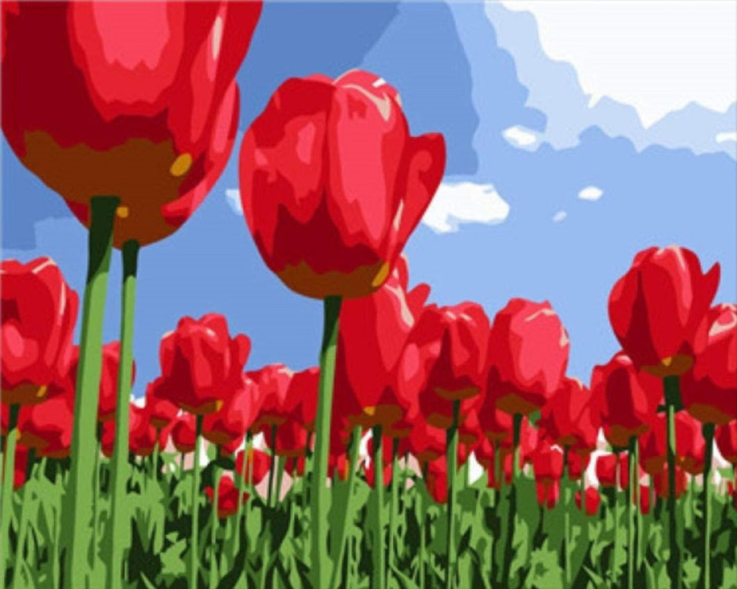 Gyönyörű Pipacsok - számfestő készlet