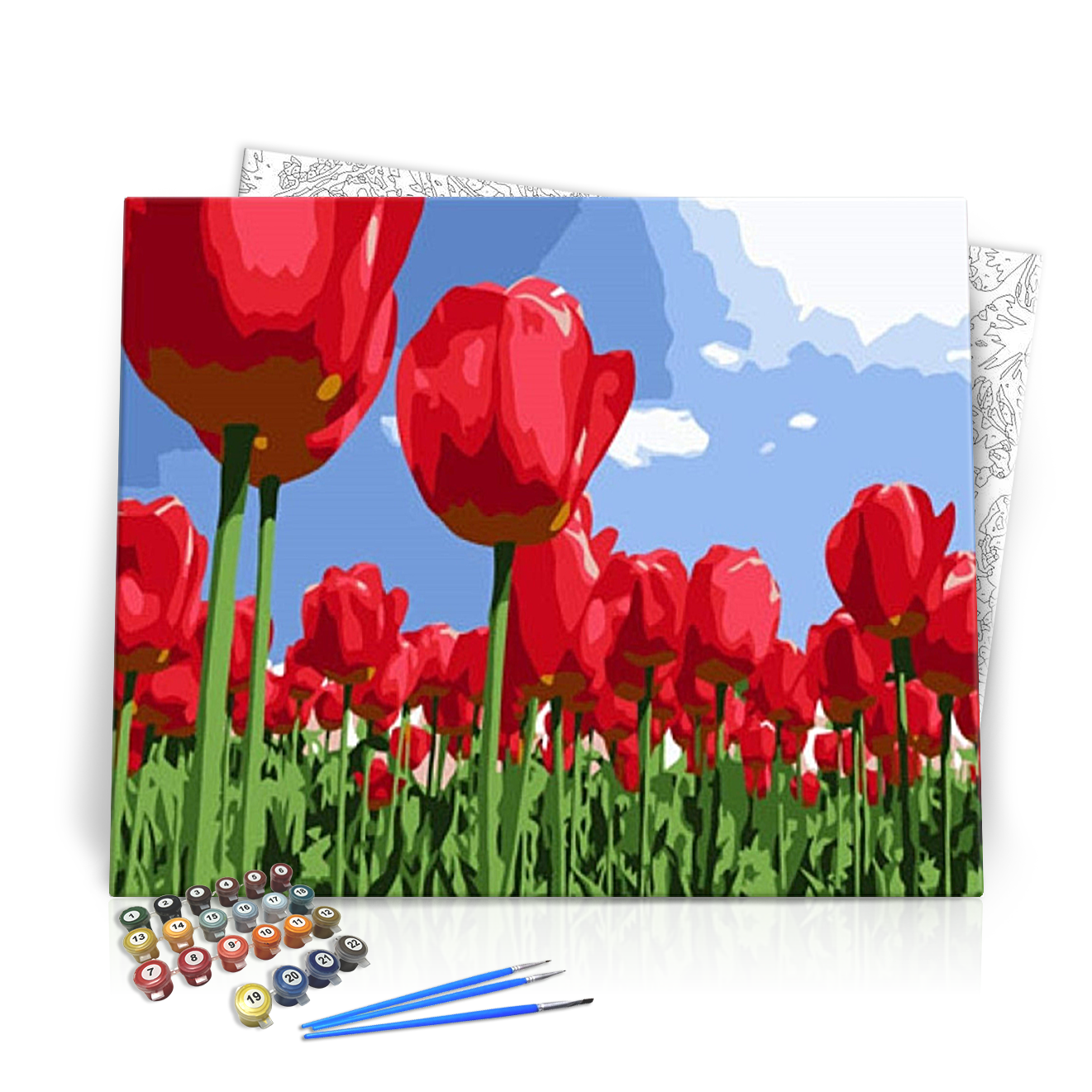 Gyönyörű Pipacsok - számfestő készlet