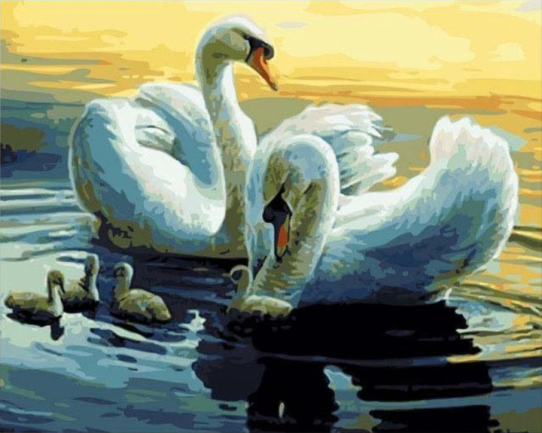 Hattyúcsalád - számfestő készlet