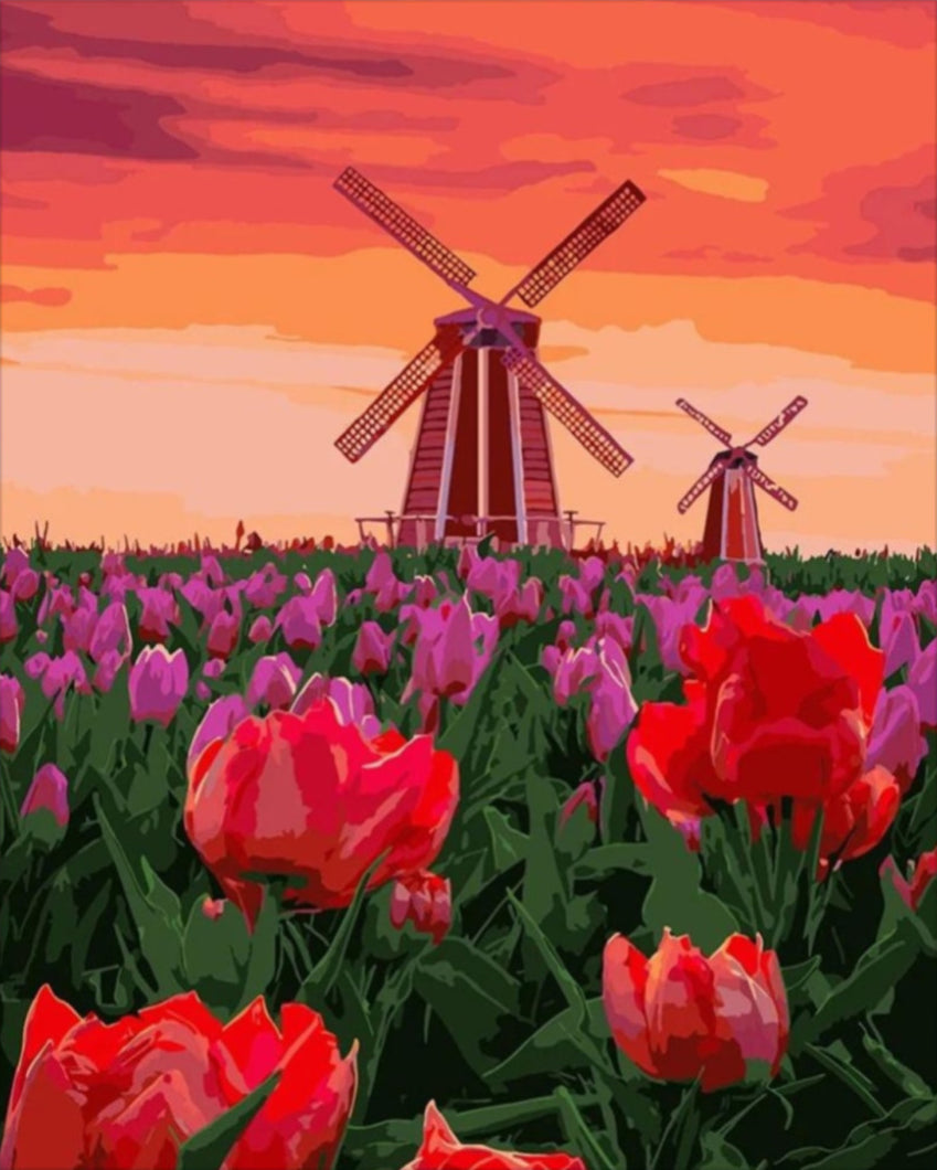 Hollandia - számfestő készlet