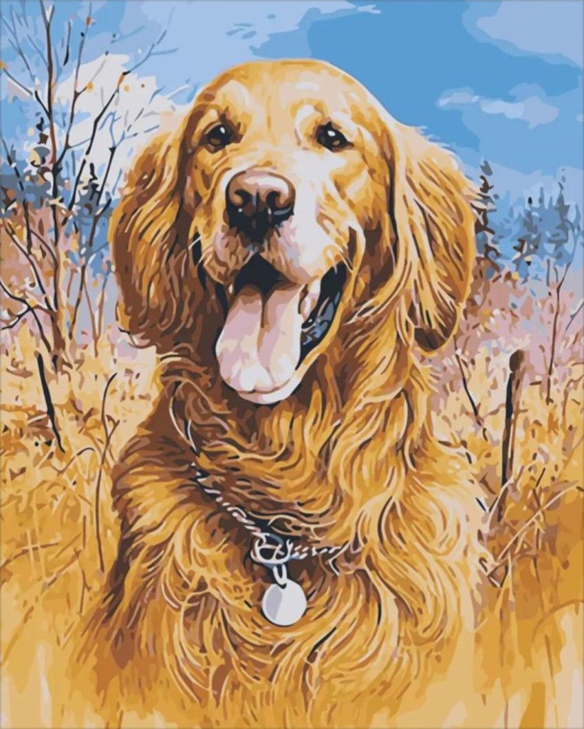 Hűség - számfestő készlet