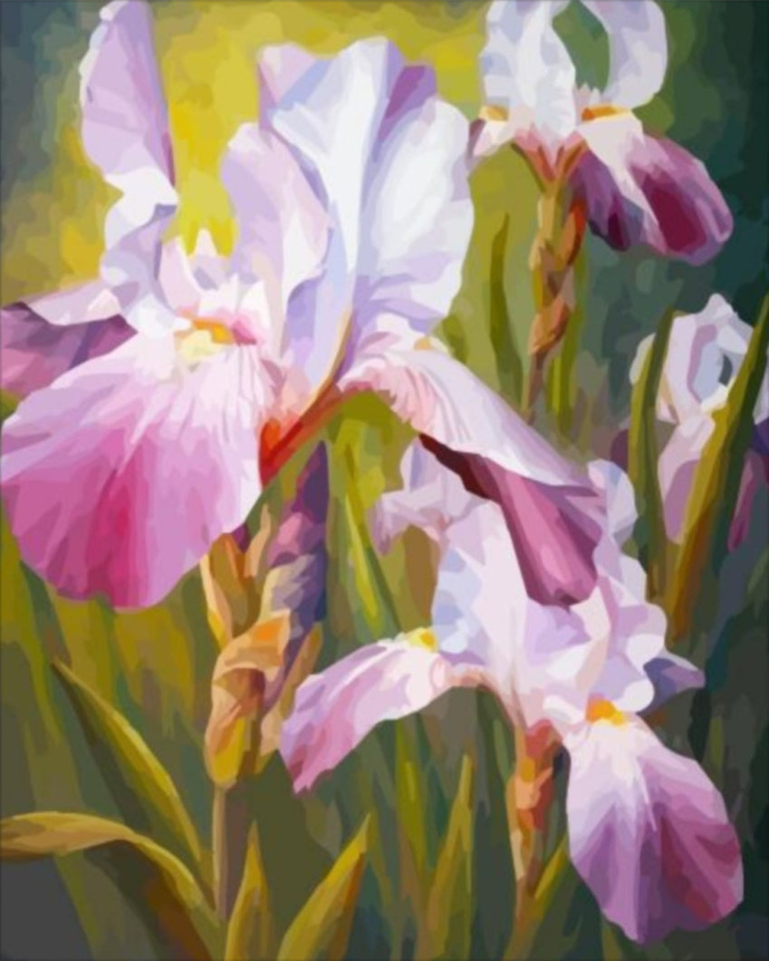 Íriszek - számfestő készlet