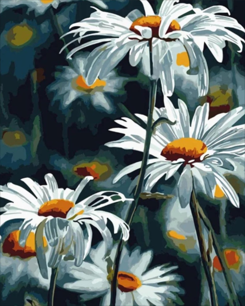 Kamillarét - számfestő készlet