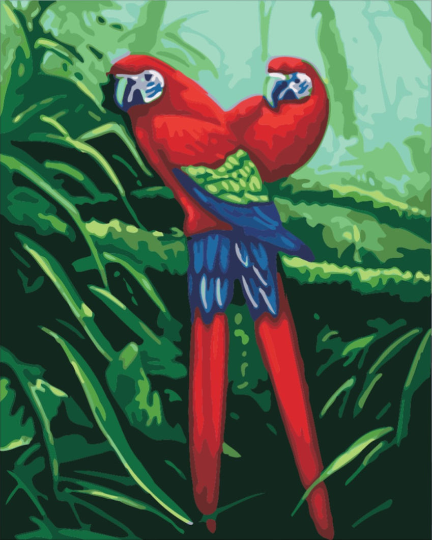 Két Papagáj - számfestő készlet