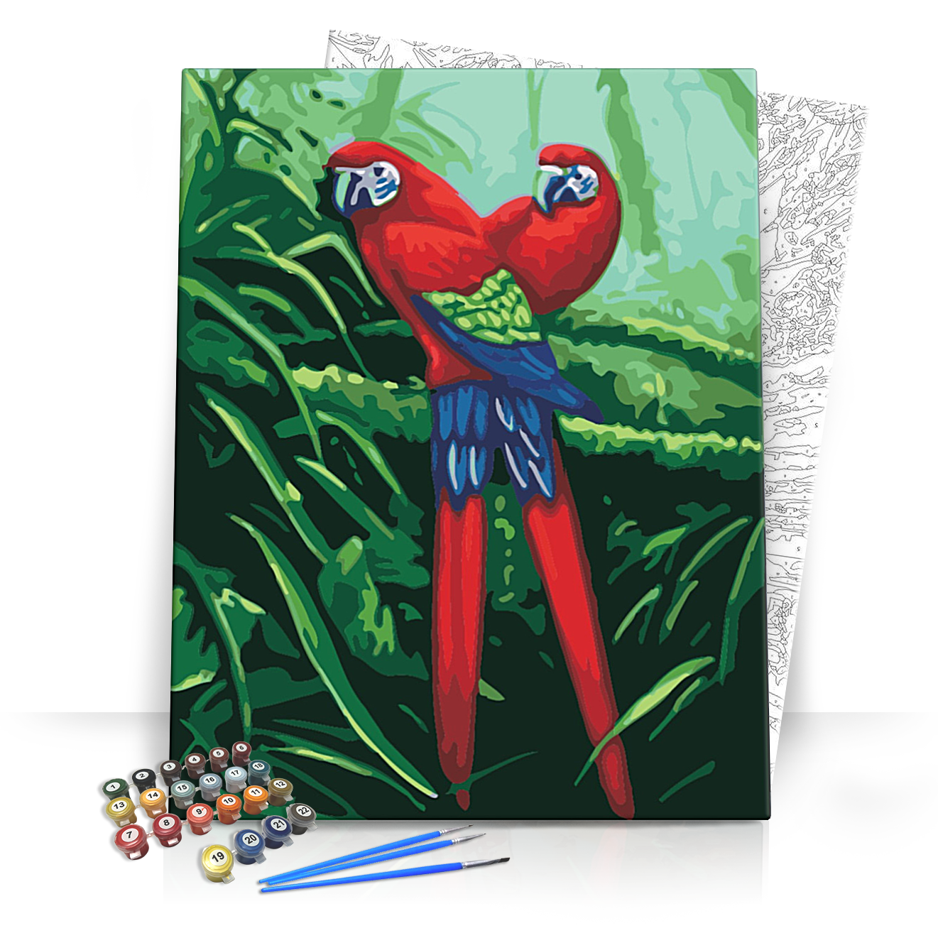 Két Papagáj - számfestő készlet