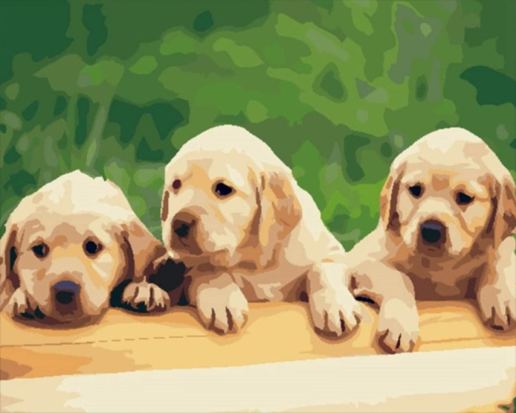 Kiskutyák - számfestő készlet