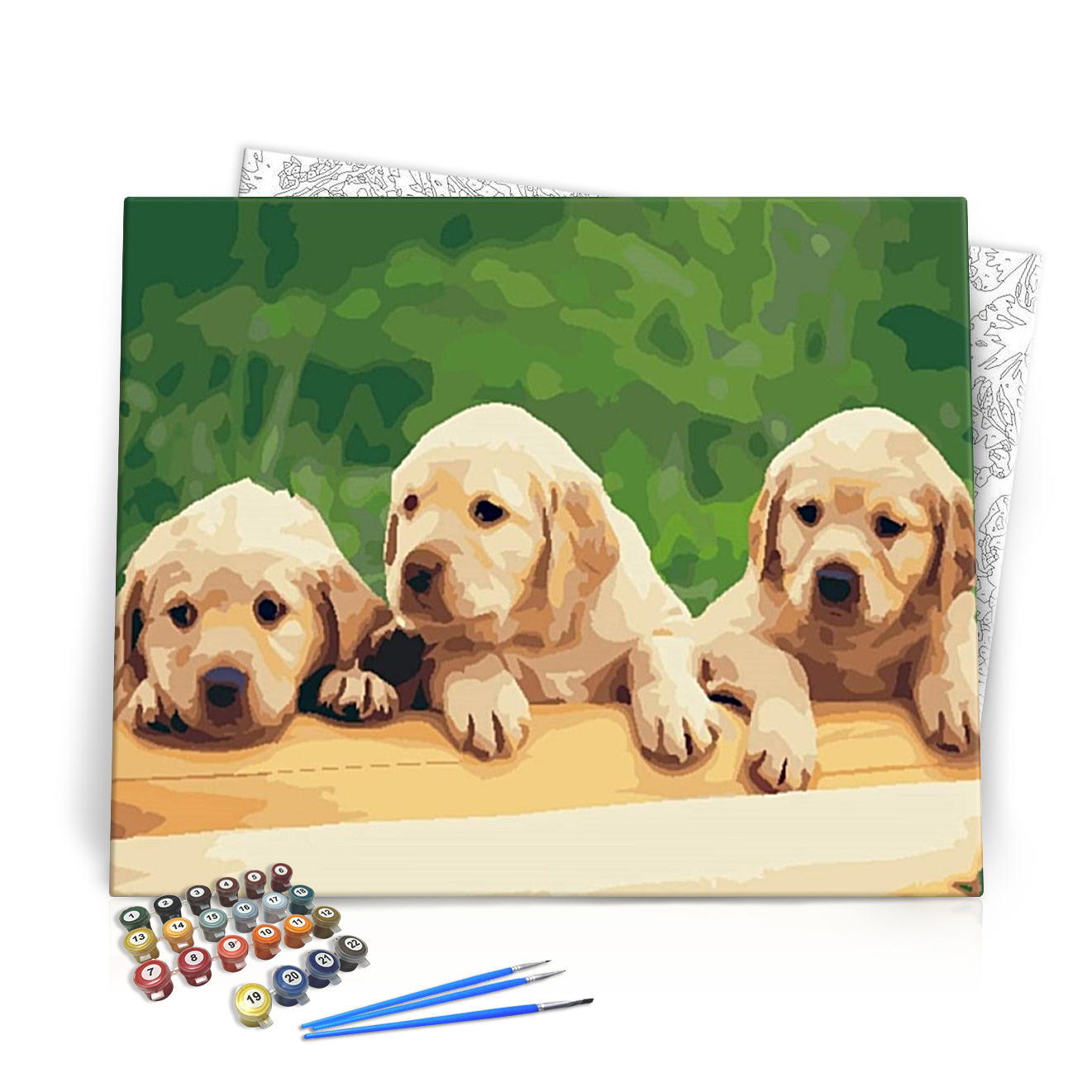 Kiskutyák - számfestő készlet