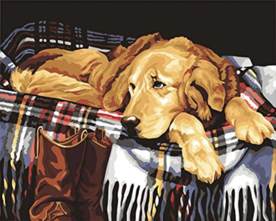 Kutya A Táskában - számfestő készlet