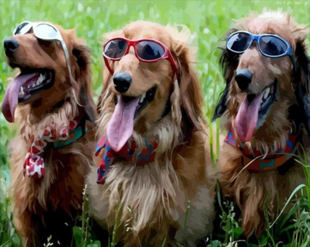 Kutya party - számfestő készlet