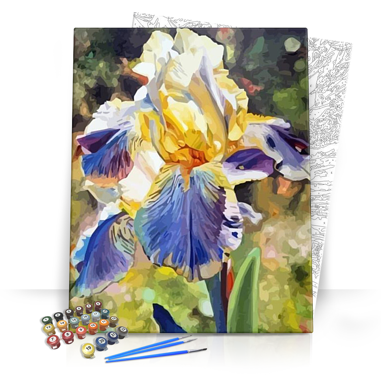 Nőszirom - számfestő készlet