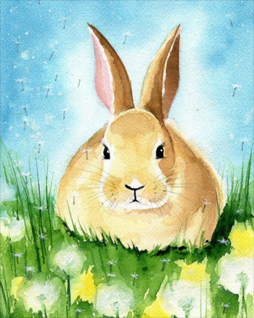 Nyuszi a Fűben - húsvéti számfestő készlet