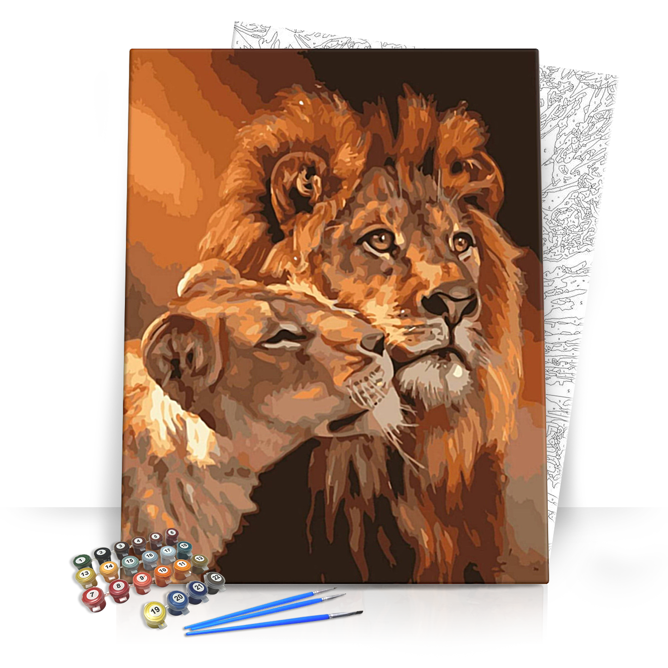 Oroszlánok - számfestő készlet