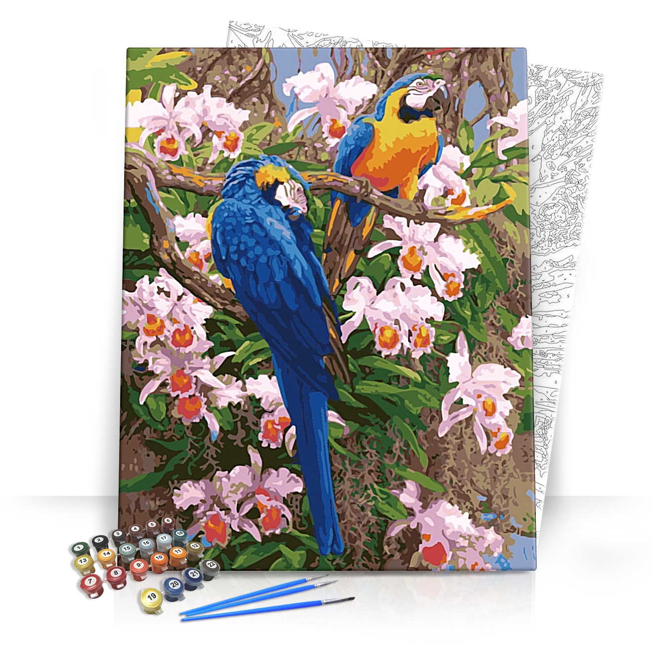 Papagájok - számfestő készlet