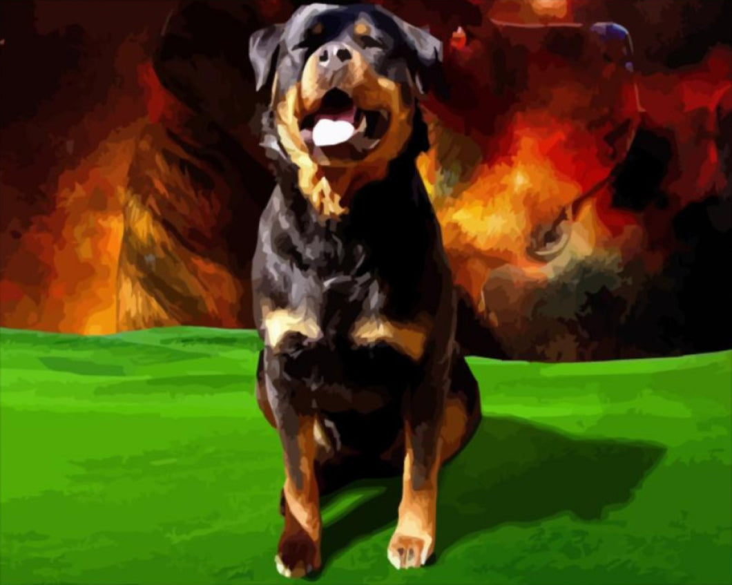Rottweiler - számfestő készlet