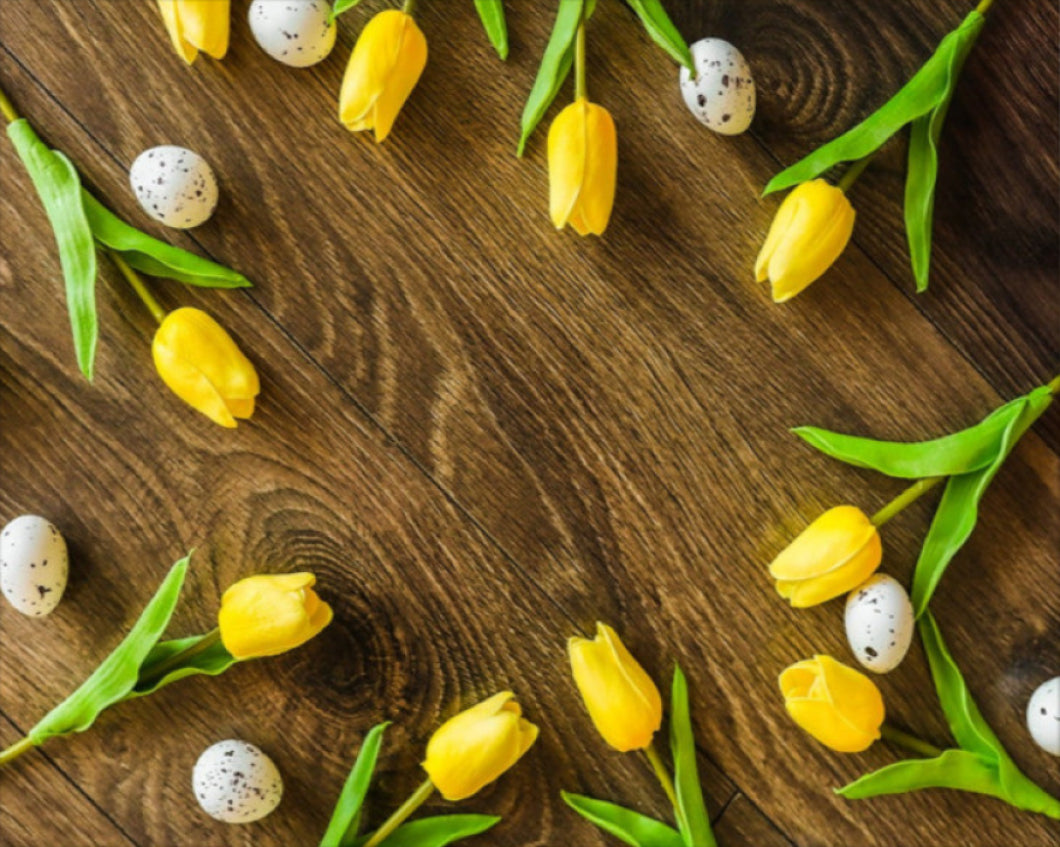 Sárga Tulipánok - húsvéti számfestő készlet