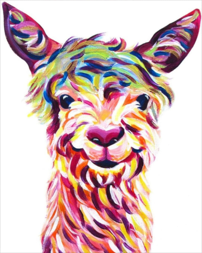 Színes Láma - számfestő készlet