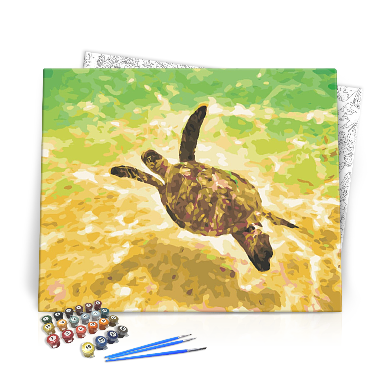 Teknős - számfestő készlet