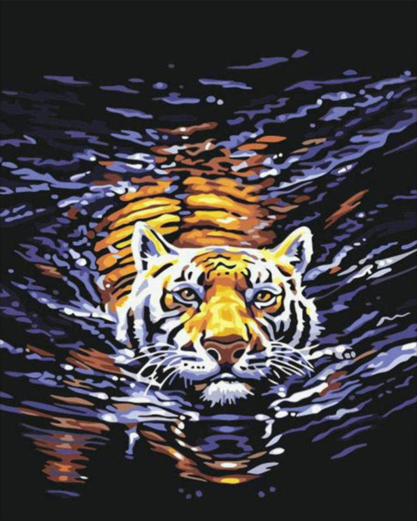 Úszó tigris - számfestő készlet