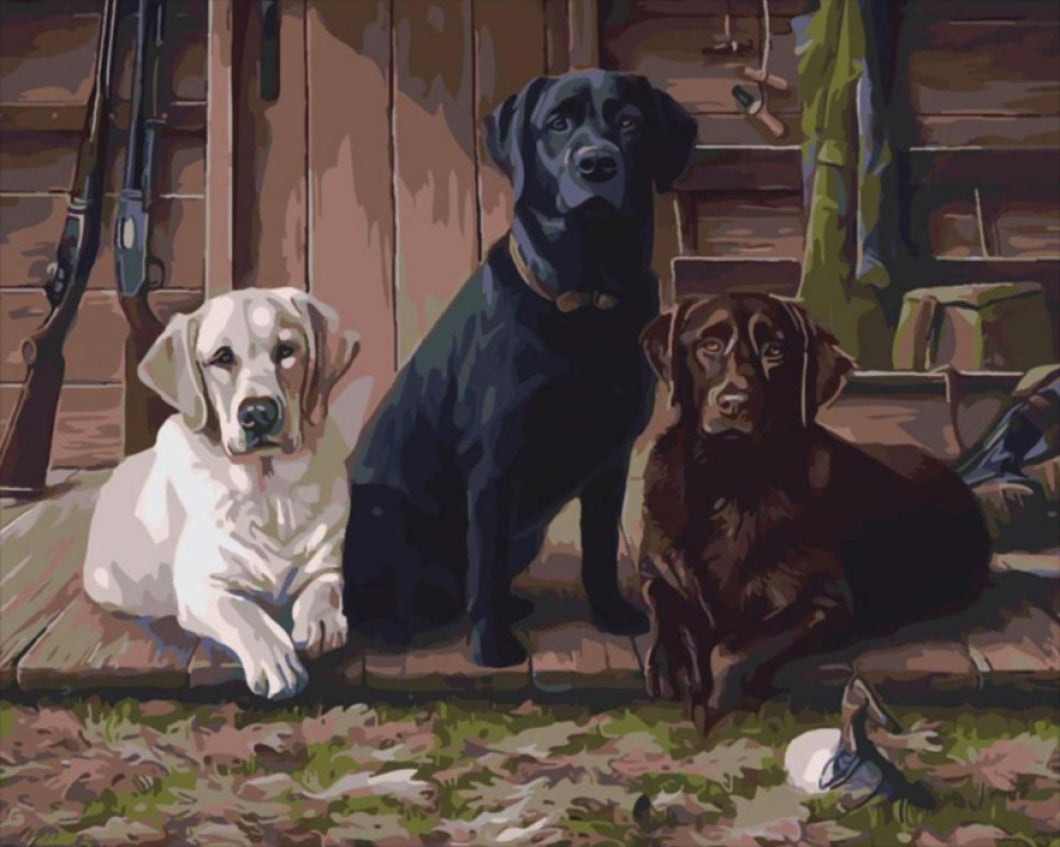 Vadászkutyák - számfestő készlet