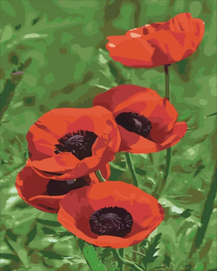 Vadvirág - számfestő készlet